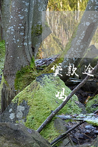 贷款逾期属于刑事案子吗(贷款逾期触犯刑法吗)
