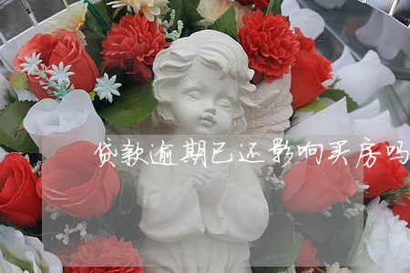 贷款逾期已还影响买房吗(房贷逾期的后果)