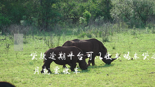 贷款逾期平台可以收车吗(车贷逾期不到一个月就要收车)
