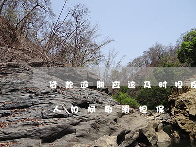 贷款逾期应该及时担保人(银行贷款逾期担保人如何取消担保)