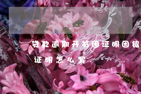 贷款逾期开贫困证明(因银行欠款需开的贫困证明怎么写)