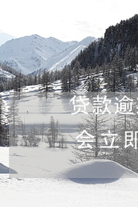 贷款逾期强制执行条件(贷款逾期,法院判决后会立即强制执行吗?)