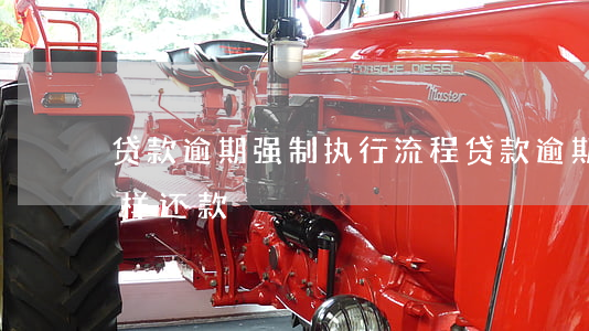 贷款逾期强制执行流程(贷款逾期被执行中怎样还款)
