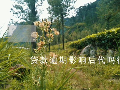 贷款逾期影响后代吗(征信逾期会影响后代吗)