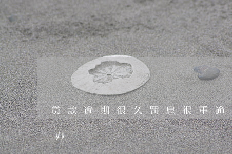 贷款逾期很久罚息很重(逾期了罚息很高怎么办)