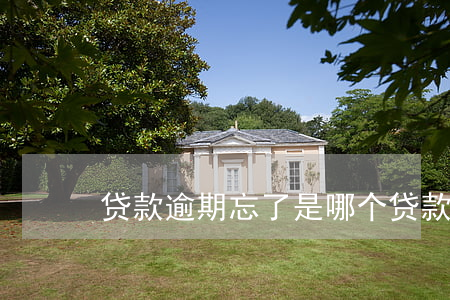 贷款逾期忘了是哪个(贷款逾期时间)