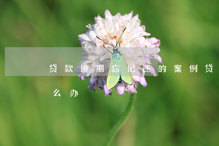 贷款逾期忘记还的案例(贷款利息逾期忘了怎么办)