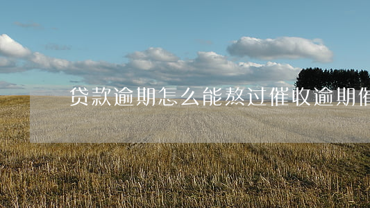 贷款逾期怎么能熬过催收(逾期催收经验介绍)