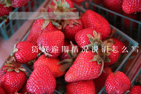 贷款逾期情况说明怎么写(逾期的原因怎样写)