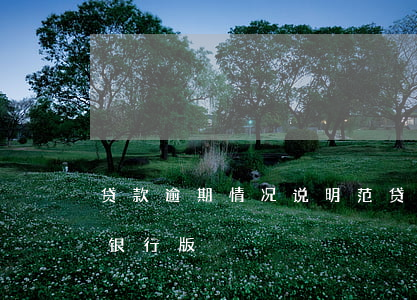 贷款逾期情况说明范(贷款逾期情况说明范文银行版)
