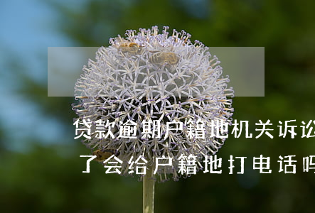 贷款逾期户籍地机关诉讼真的吗-贷款逾期了会给户籍地打电话吗