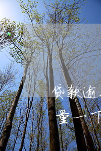 贷款逾期房的拍卖流程(房贷逾期拍卖还能商量一下吗)