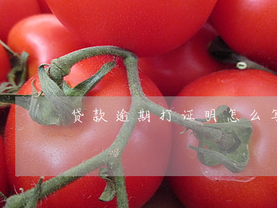 贷款逾期打证明怎么写(贷款逾期说明怎样写)