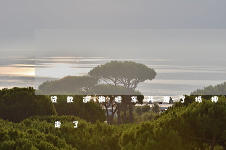 贷款逾期把车开走了(抵押车贷款逾期把车开走了)
