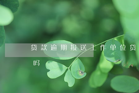 贷款逾期报送工作单位(贷款逾期会找到单位吗)