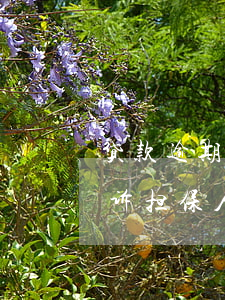 贷款逾期担保人所在单位(银行贷款逾期被起诉担保人要承担哪些责任)