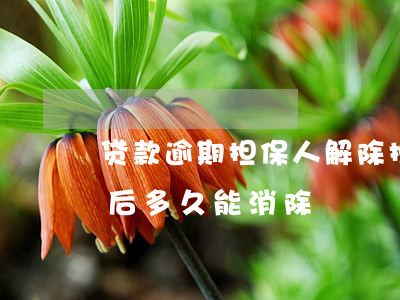 贷款逾期担保人解除(担保人逾期记录还完款后多久能消除)