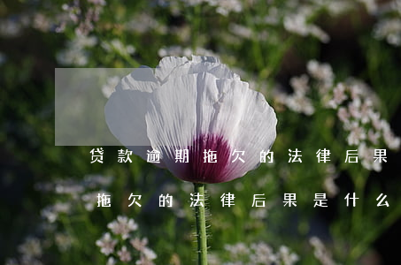 贷款逾期拖欠的法律后果是什么-贷款逾期拖欠的法律后果是什么呢