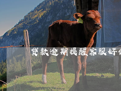 贷款逾期提醒客服好做吗(逾期怎么跟客服讲)