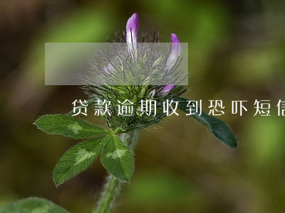 贷款逾期收到恐吓短信(贷款逾期短信内容)