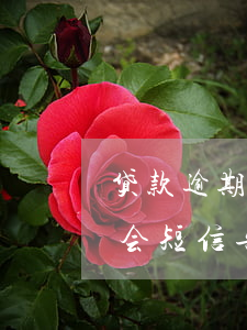 贷款逾期收到起诉短信(贷款逾期被起诉是否会短信告知)