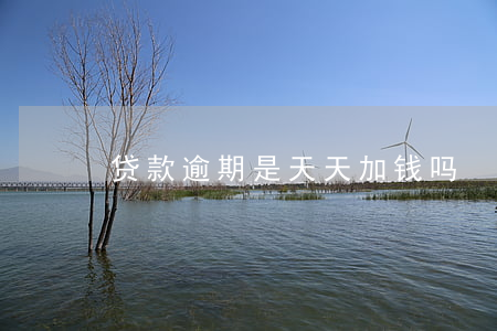 贷款逾期是天天加钱吗