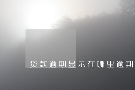 贷款逾期显示在哪里(逾期在哪里查)