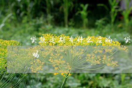 贷款逾期有什么应响-贷款逾期有什么应响吗