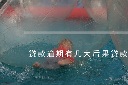 贷款逾期有几大后果(贷款逾期有什么后果)