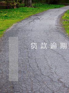 贷款逾期有哪些影响吗(贷款逾期的影响)
