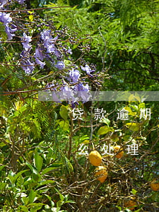 贷款逾期未满一个月 贷款逾期未满一个月怎么处理