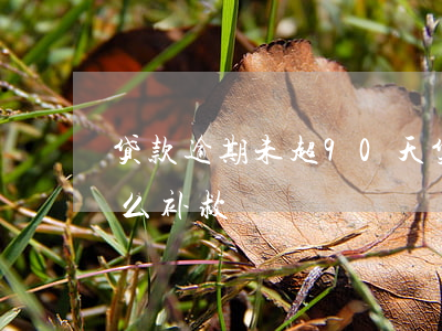 贷款逾期未超90天(贷款逾期90天以上怎么补救)