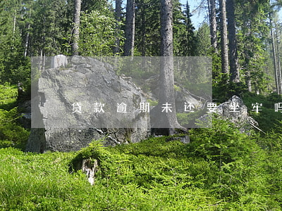 贷款逾期未还要坐牢吗(贷款多久未还算逾期)