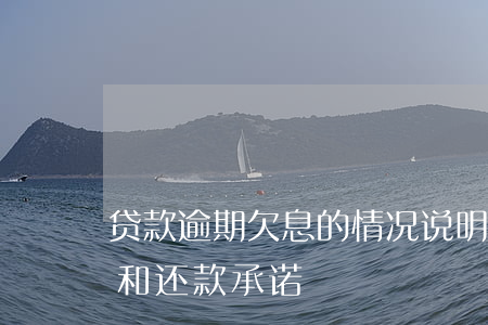 贷款逾期欠息的情况说明(逾期还款情况说明和还款承诺)