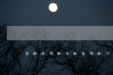 贷款逾期款，贷款逾期款以还挖机解锁要多久