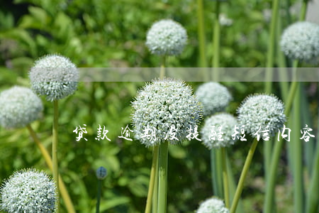 贷款逾期没提醒短信内容（贷款逾期没提醒）