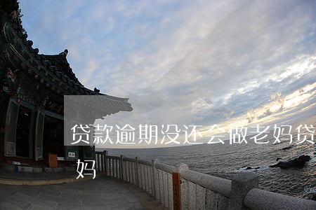 贷款逾期没还会做老妈(贷款逾期没还会做老妈)