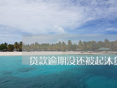 贷款逾期没还被起沐(贷款逾期没还被起沐)