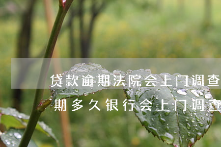 贷款逾期法院会上门调查吗(银行信用贷款逾期多久银行会上门调查)