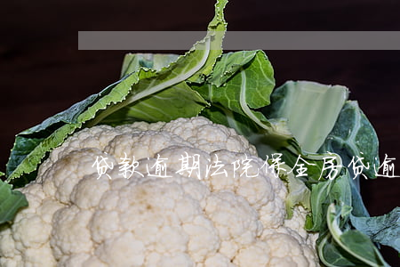 贷款逾期法院保全 房贷逾期保全费撤诉
