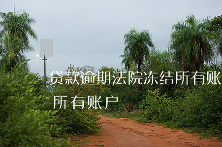 贷款逾期法院冻结所有账户吗（逾期法院冻结所有账户）