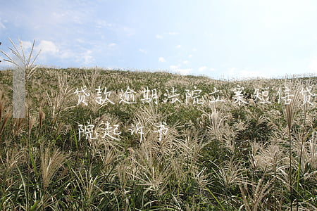 贷款逾期法院立案短信 贷款逾期短信收到法院起诉书