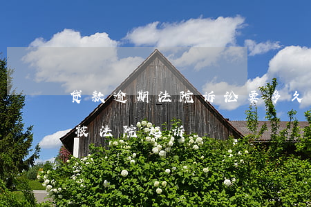 贷款逾期法院诉讼要多久(贷款逾期几个月会被法院起诉)