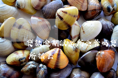 贷款逾期派出所会管吗(贷款逾期多久被派出所抓去)