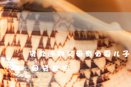 贷款逾期父母有必要(儿子贷款逾期会影响父母贷款吗)