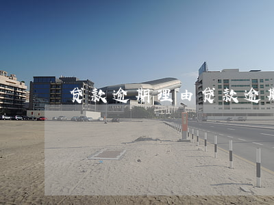 贷款逾期理由(贷款逾期还款合理理由)