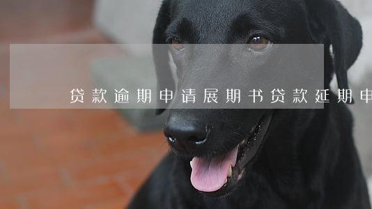 贷款逾期申请展期书(贷款延期申请书)