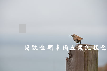 贷款逾期申请立案流程(逾期贷款处理)