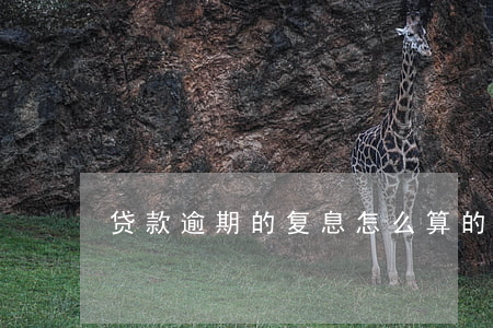 贷款逾期的复息怎么算的
