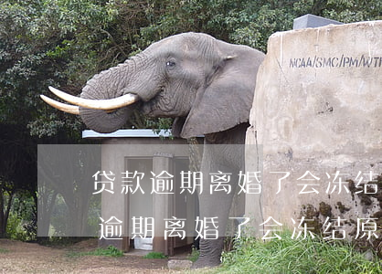 贷款逾期离婚了会冻结原配偶账户吗-贷款逾期离婚了会冻结原配偶账户吗知乎
